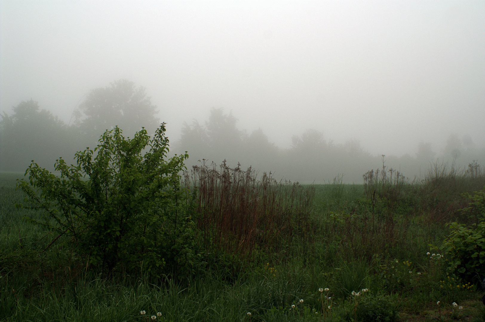 6:19 Uhr Frühnebel