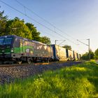 6193 275  mit einem LKW Walter