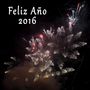 ¡Feliz año 2016! von Tim Rüth 