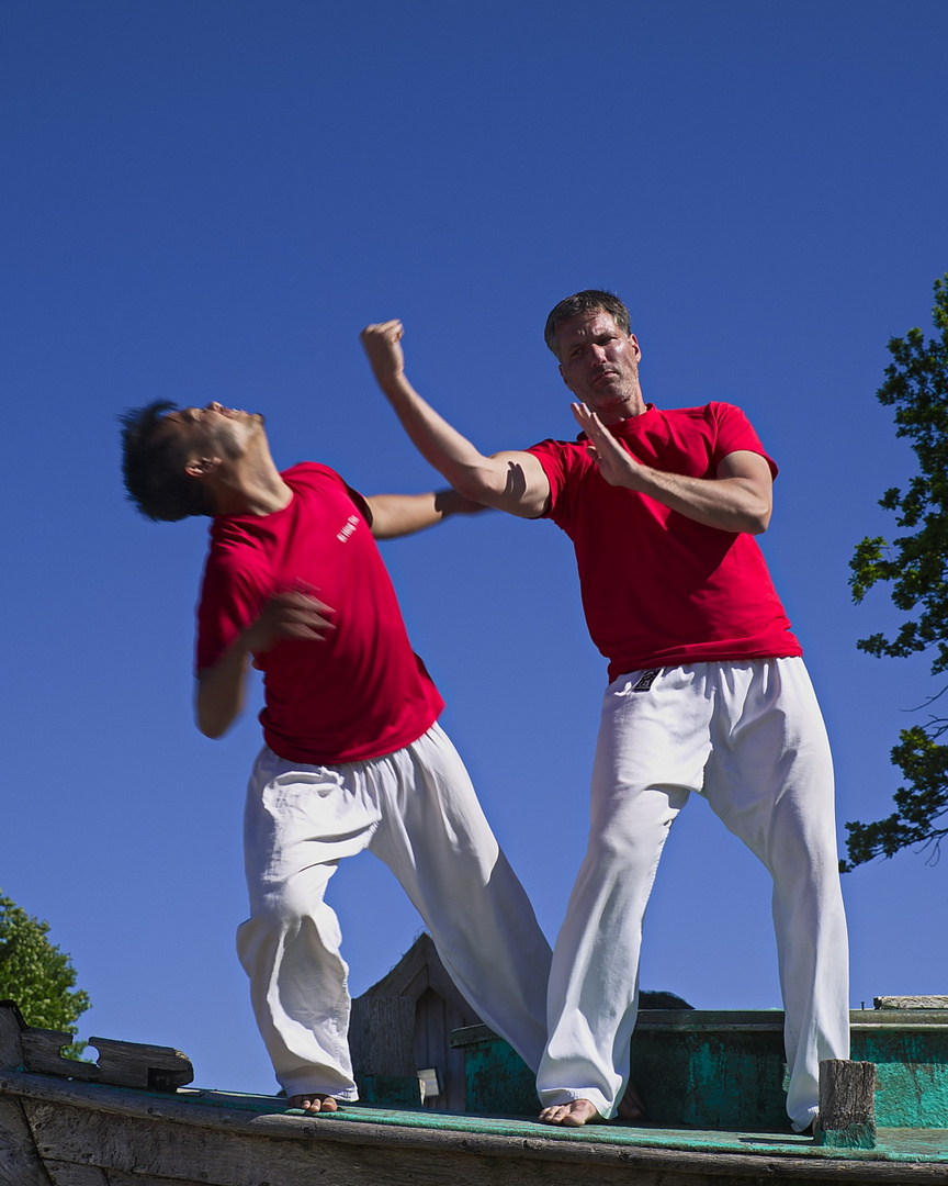 6217_"Wing Chun" Workshop, Horizonte Zinst 2017