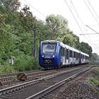 622 437 vlexx in Richtung Mainz