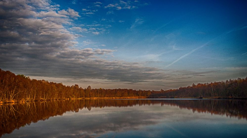 Herbst am Moorsee in Moormerland von Sievert Hohmann