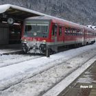 628 420 im Winterdienst