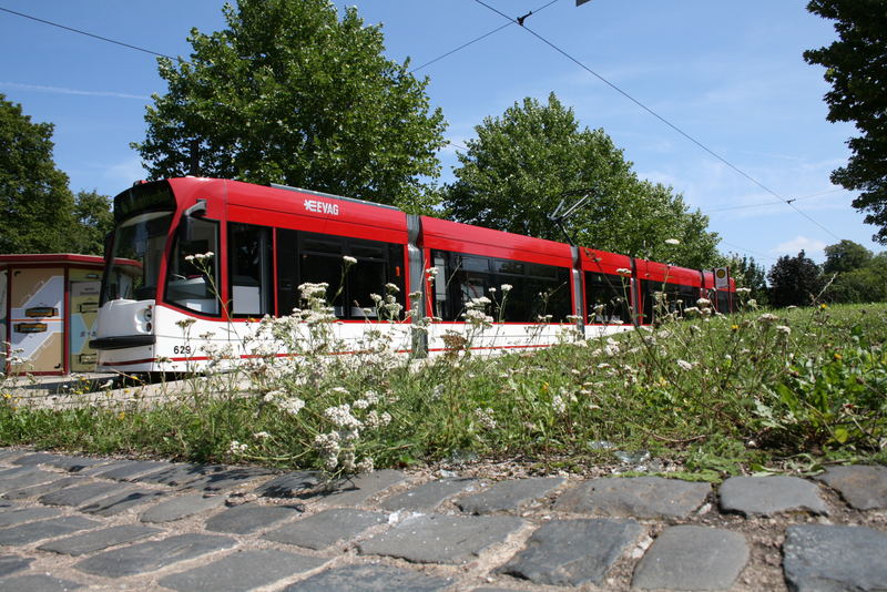 629 im grünen