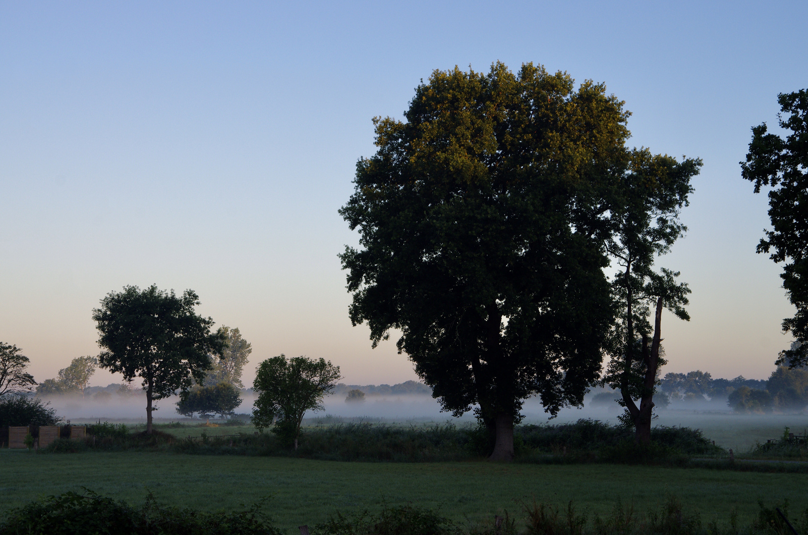 6:29 Uhr / Mittwoch 19.08.20