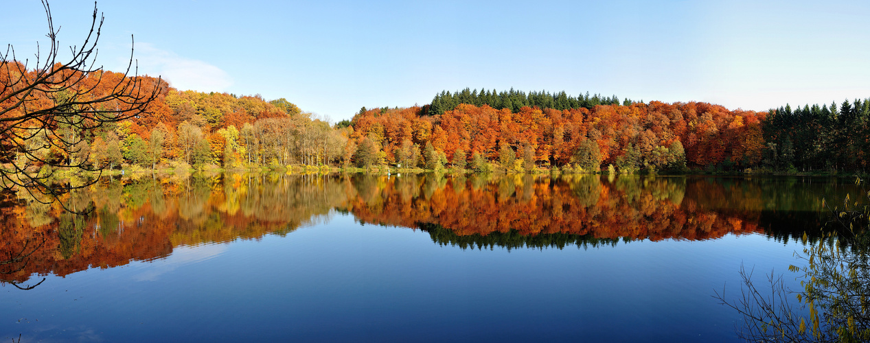 Holzmaar von Rene Kriesch