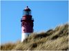 Amrum