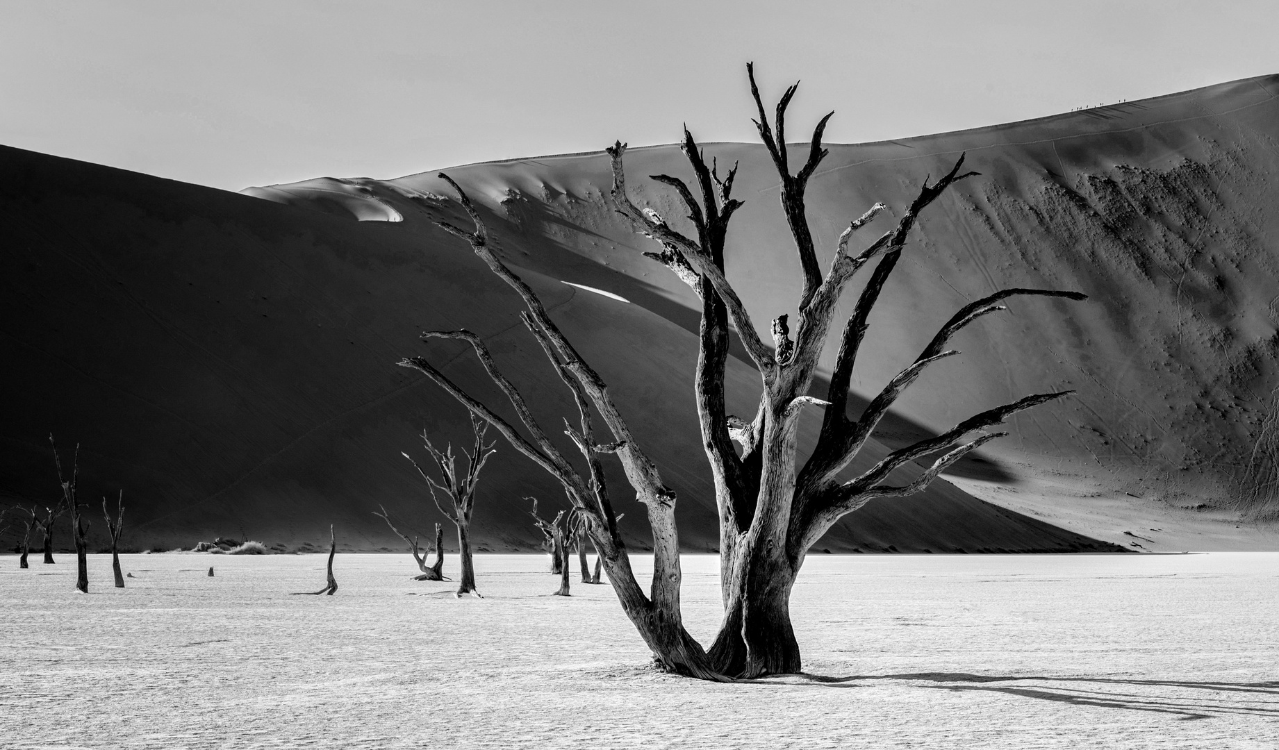 62......DEAD VLEI NAMIBIA