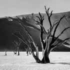 62......DEAD VLEI NAMIBIA