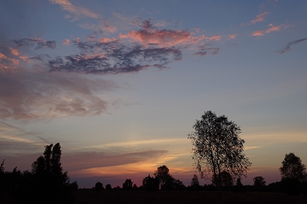 6.30 Uhr in der Heide