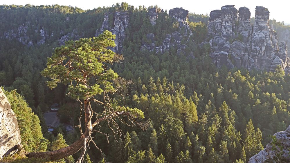 6.30 Uhr spielt noch niemand auf der Felsenbühne Rathen...