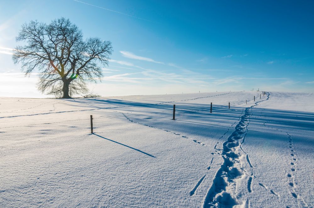 Spuren im Tiefschnee von Helmut Portenkirchner