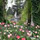 Mainau im Frhling DSC_5367