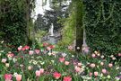 Mainau im Frühling DSC_5367 von eliuvi2