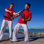6353_"Wing Chun" Workshop, Horizonte Zinst 2017