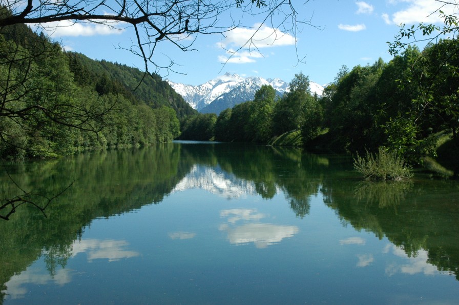 Auwaldsee bei Fischen von Arthur Hollmann