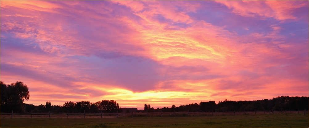 6.37 Uhr glühender Himmel über Erbstorf