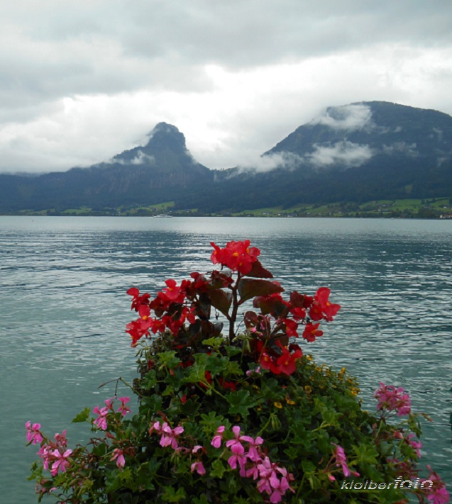 (639) wolfgangsee