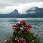 (639) wolfgangsee