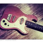 63´er Danelectro