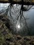 REFLET AU BORD DE LA RIVIERE de BUBUL