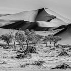 63......SOSSUSVLEI NAMIBIA