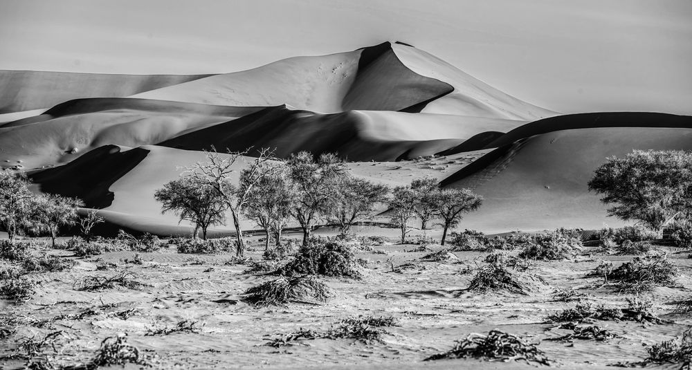 63......SOSSUSVLEI NAMIBIA