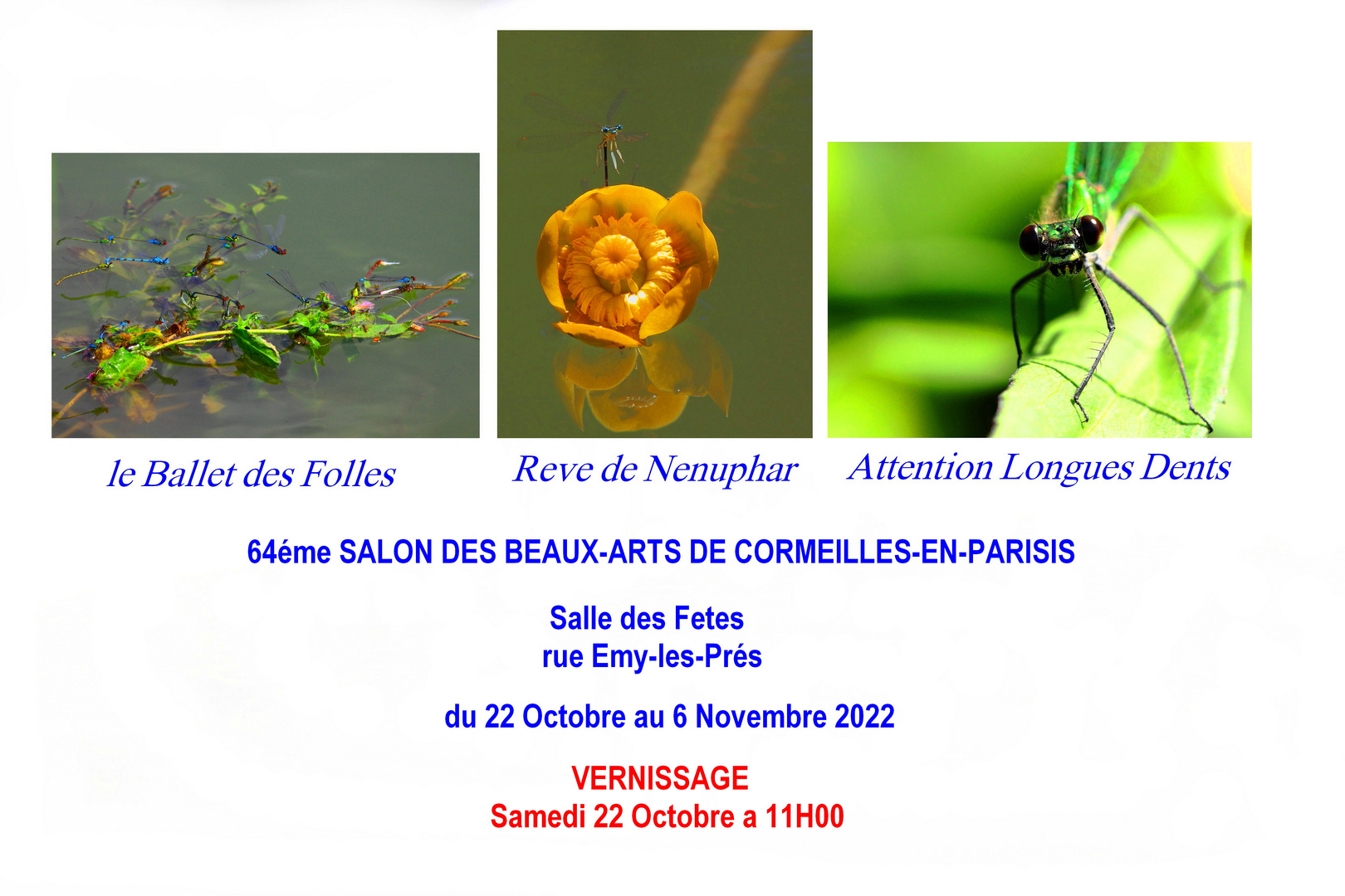 64 eme Salon des Beaux-Arts 