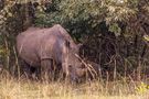 Ziwa Rhino Schutzgebiet von Karin und Axel Beck