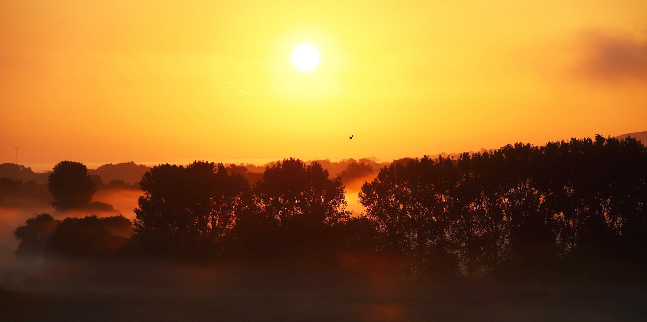 # 6:45 Uhr, ein Morgen wie aus dem Bilderbuch