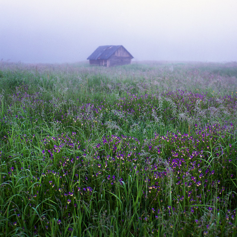 646-HB-120610-Velvia50-009