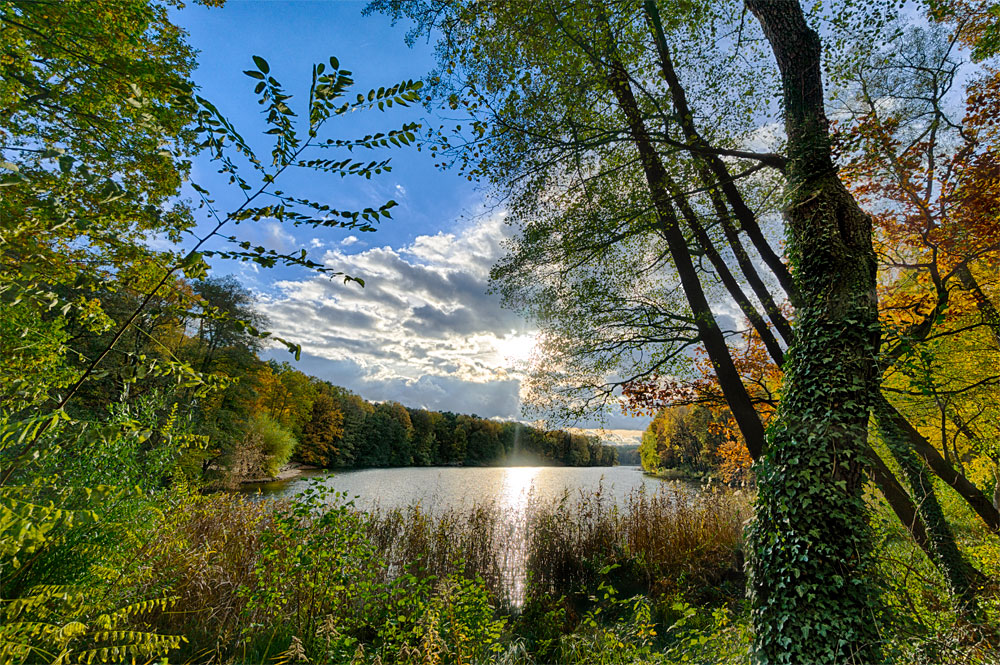 herbstliche Krumme Lanke von Rainer Keßler