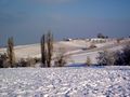 IL A NEIGE SUR LE JURA de BUBUL