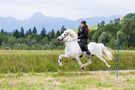 Speedpass by Villa Eichin