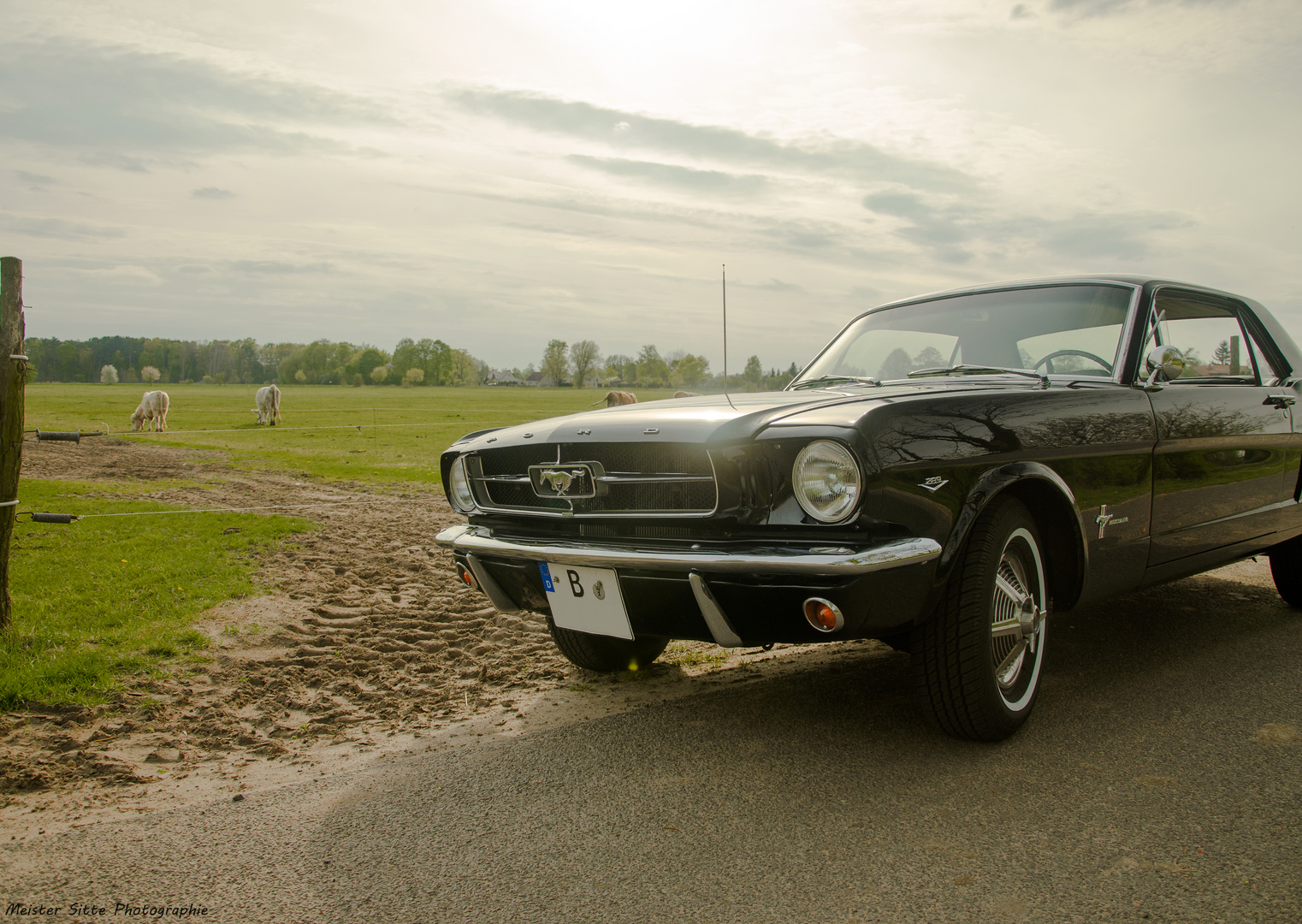 64er Ford Mustang