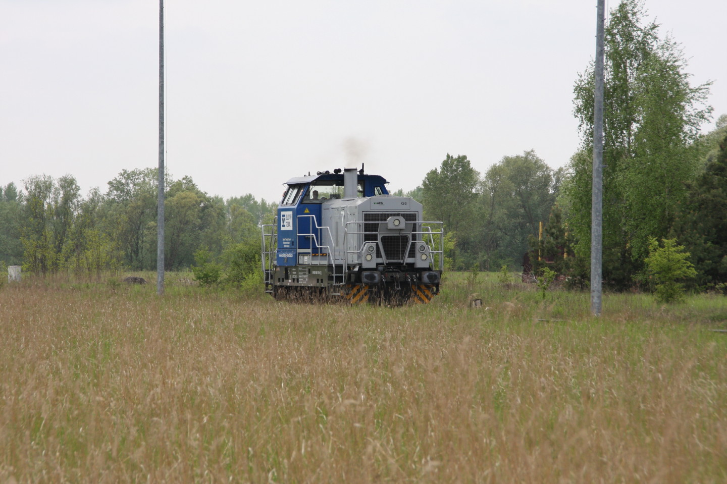 650 106 fährt über die Wiese