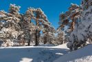 018 Sierra de Guadarrama, Madrid de Jose V. Nieto