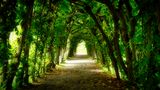 Licht am Ende des Tunnels by Eckhard Fenner