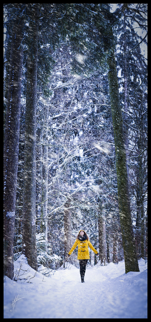 6/52 Gelbe Schneeflocke