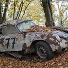 6570R Autofriedhof Neandertal Porsche