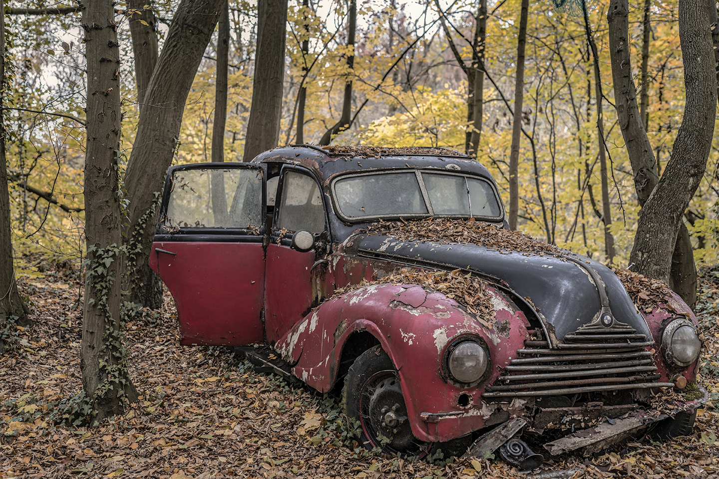 6576R Autofriedhof Neandertal BMW