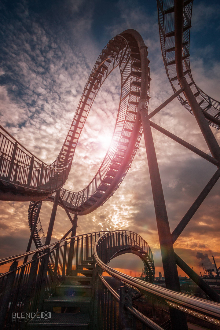 6596_Tiger&Turtle