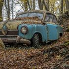 6604R Autofriedhof Neandertal Borgward