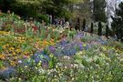 Frühling auf der Mainau DSC_5357 by eliuvi2