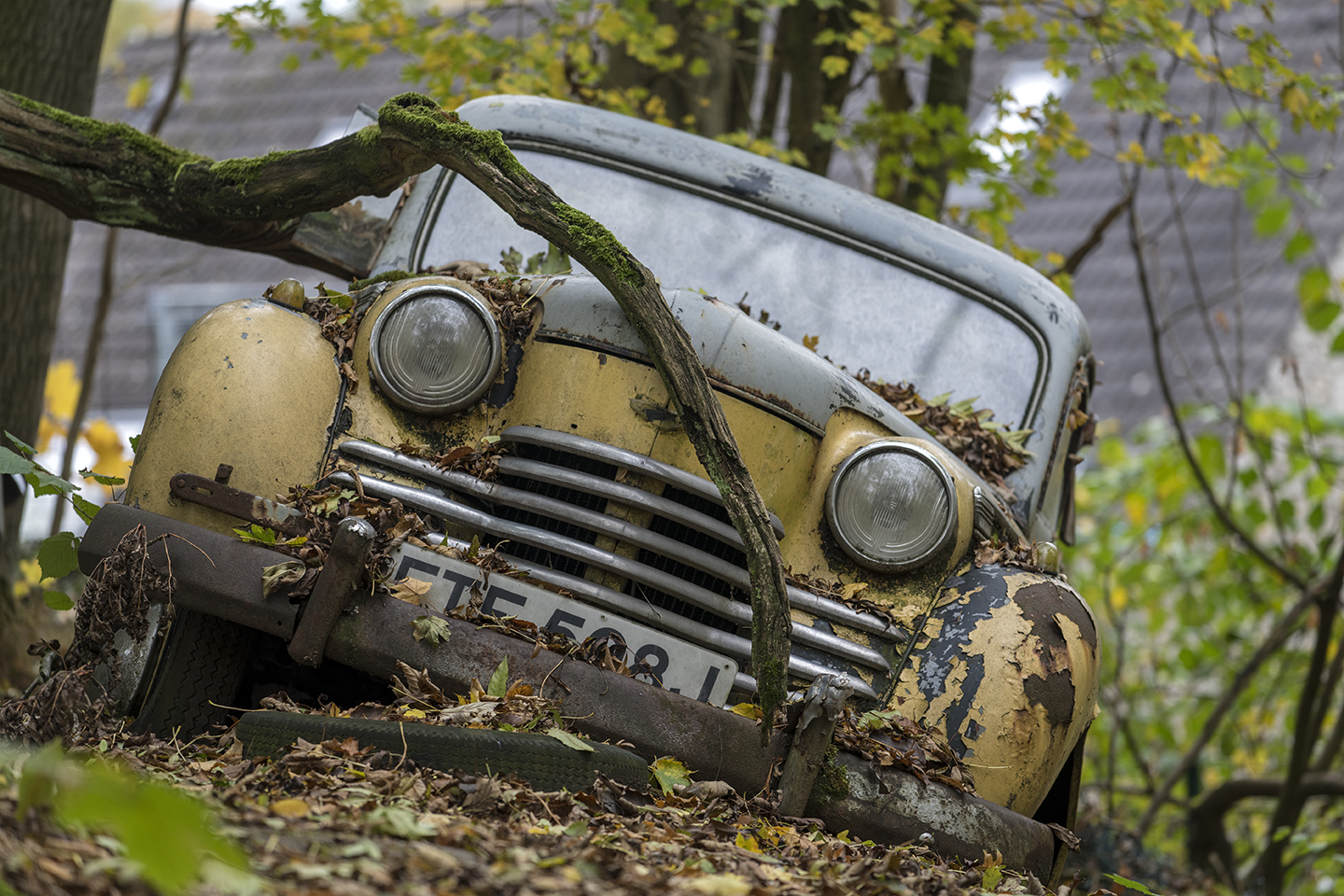 6619R Autofriedhof Neandertal