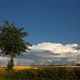 Nach dem Abendgewitter