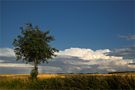 Nach dem Abendgewitter von Roman Rogoszynski