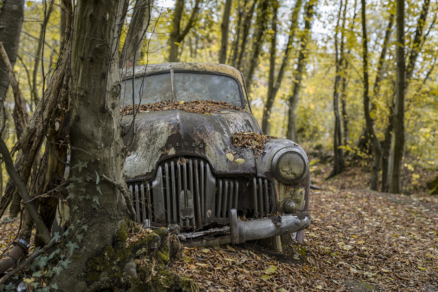 6650R Autofriedhof Neandertal Holden