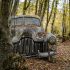 6650R Autofriedhof Neandertal Holden