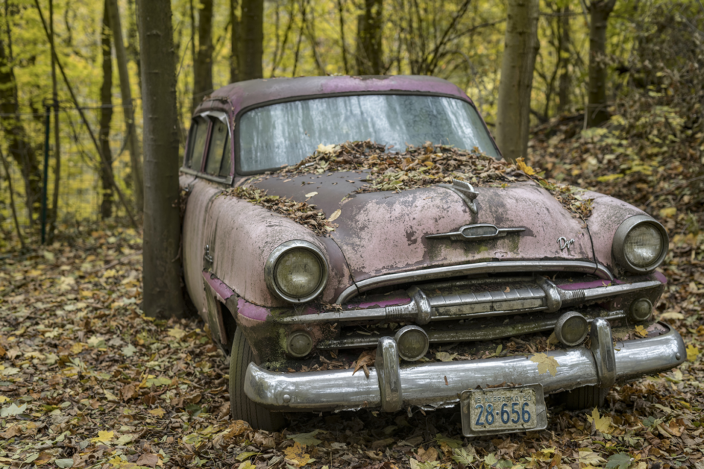 6666R Autofriedhof Neandertal